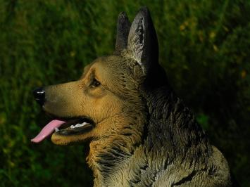 Statue German Shepherd - Polystone - Highly Detailed