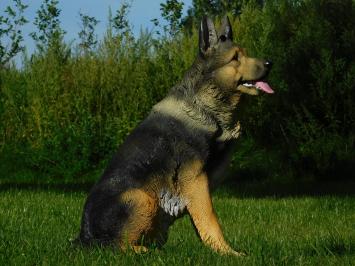 Statue Deutscher Schäferhund - Polystone - Hochdetailliert