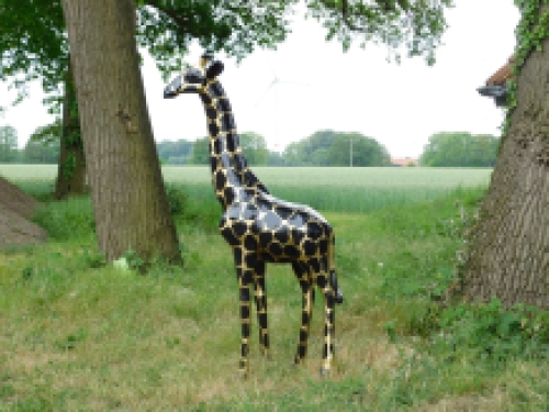 Bijzonder groot beeld ''Giraffe'' - zwart/goud van Polystone