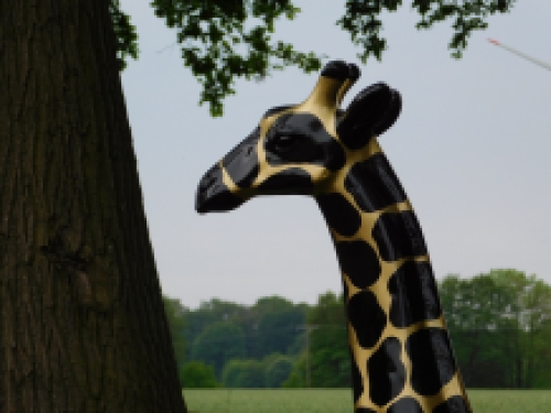 Bijzonder groot beeld ''Giraffe'' - zwart/goud van Polystone