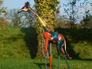 Giraffe 