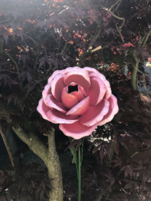 NOG 1: Grote Roos - Roze - Metaal - Tuinsteker