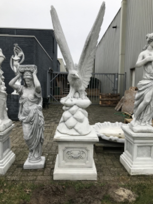 Adelaar beeld, tuinbeeld, zeer groot, dierenbeeld op sokkel, steen