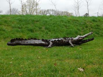 Krokodil XL - 220 cm - Uniek en Handgemaakt uit Metaal