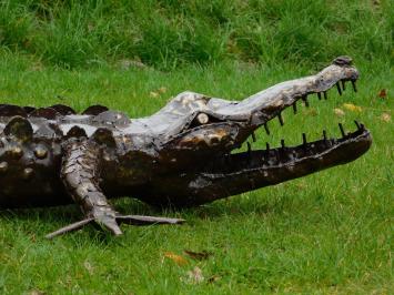 Krokodil XL - 220 cm - Uniek en Handgemaakt uit Metaal