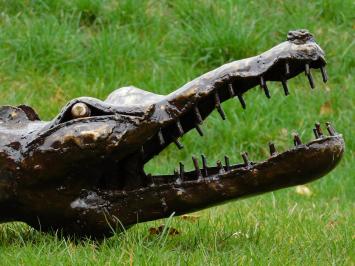 Krokodil XL - 220 cm - Uniek en Handgemaakt uit Metaal