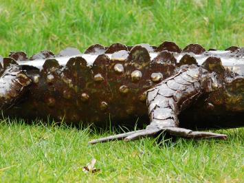 Krokodil XL - 220 cm - Uniek en Handgemaakt uit Metaal