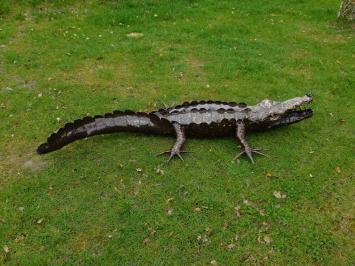 Krokodil XL - 220 cm - Uniek en Handgemaakt uit Metaal