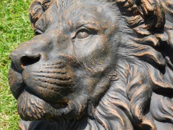 Lion's Head of Stone - 50 x 40 cm