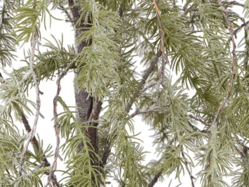 LED-Lichterbaum mit hängenden Zweigen – 150 cm – Für den Außenbereich – mit Timer