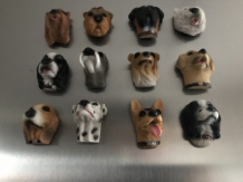 Honden Magneten - 12 Stuks - Decoratie