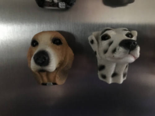 Honden Magneten - 12 Stuks - Decoratie