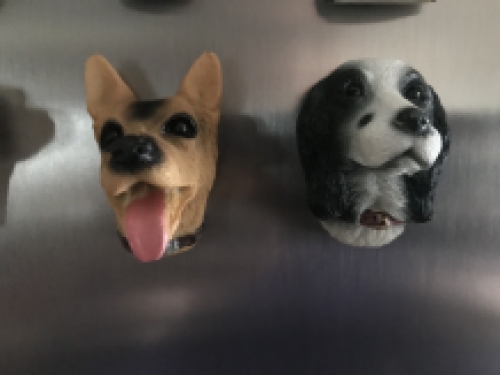 Honden Magneten - 12 Stuks - Decoratie