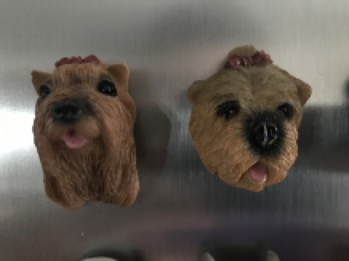 Honden Magneten - 12 Stuks - Decoratie