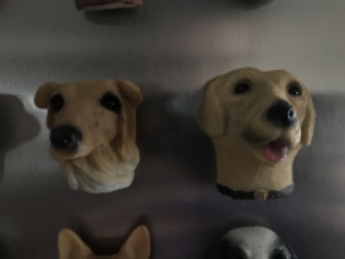 Honden Magneten - 12 Stuks - Decoratie