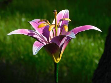 Handmade Lily - garden stool 82 cm - metal