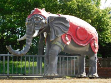 One-off: Elephant XXL - 340 x 400 cm - Unique Image