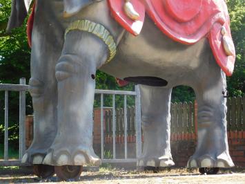 One-off: Elephant XXL - 340 x 400 cm - Unique Image