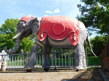 One-off: Elephant XXL - 340 x 400 cm - Unique Image