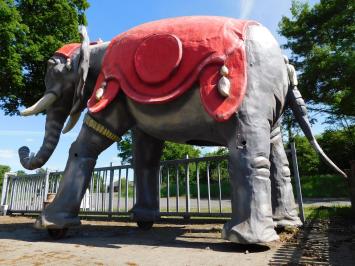 One-off: Elephant XXL - 340 x 400 cm - Unique Image