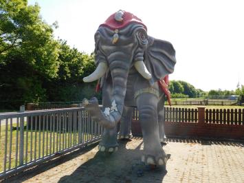 One-off: Elephant XXL - 340 x 400 cm - Unique Image