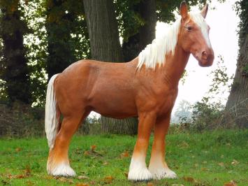 Beeld Paard Blond - 110 cm - Polystone