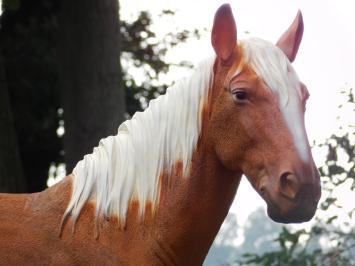 Beeld Paard Blond - 110 cm - Polystone