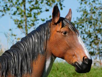 Horse statue in color - 110 cm - Polystone
