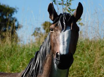 Horse statue in color - 110 cm - Polystone