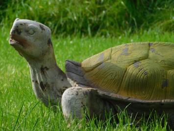 Statue Schildkröte XL - Polystone - Vintage-Look