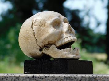 Buchstützen-Set „Totenkopf“ – Gusseisen