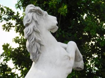 Steigerend Paard op Sokkel XL - 180 cm - Steen