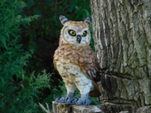 Oehoe Uil - polystone - gedetailleerd