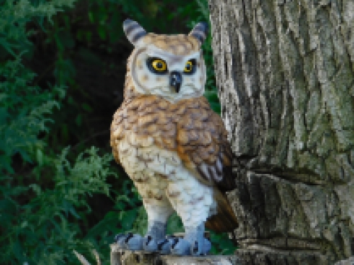 Oehoe Uil - polystone - gedetailleerd