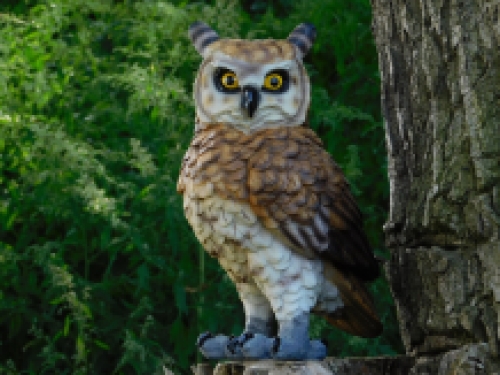 Oehoe Uil - polystone - gedetailleerd