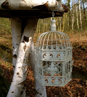 Large bird cage, metal