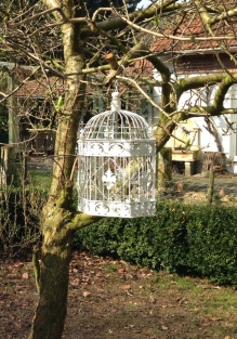 Large bird cage, metal