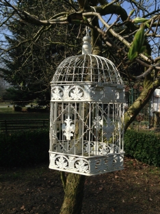 Large bird cage, metal