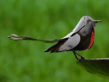 Vogeltränke - Schwarz mit roten Vögeln 2 zu 1 - Gartenstab - Metall
