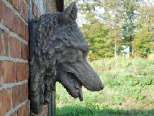 Grote wolvenkop, zeer mooi in uitdrukking, polystein